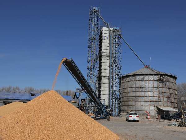 燒煤改燒秸稈大包直燃熱風(fēng)爐，烘干成本省一半