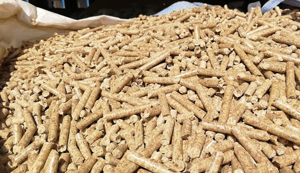 生態(tài)環(huán)境部回應(yīng)！生物質(zhì)成型燃料不是高污染燃料